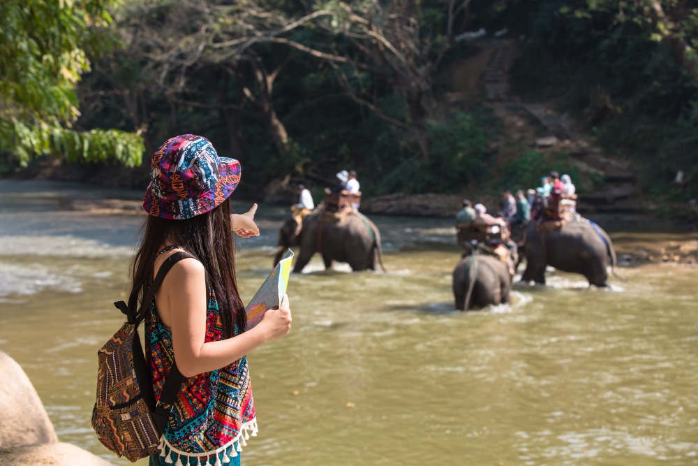Kenya Wildlife Discovery Safari