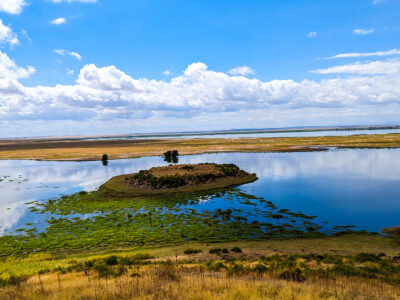 PXL_20240621_084756172.MP