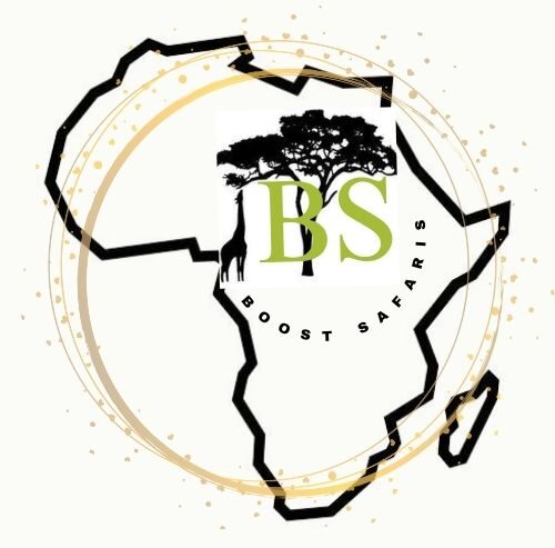 Boost Safaris |   Our Services