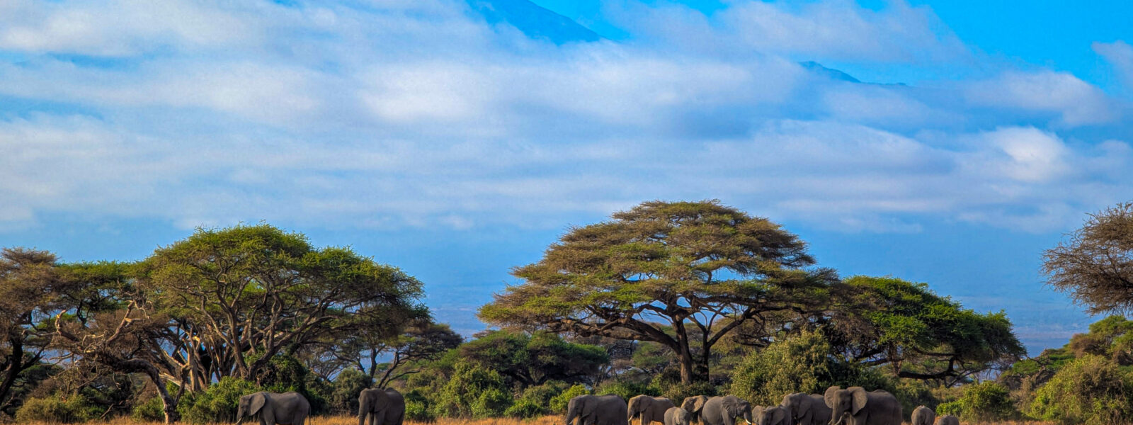 Travel Experiences to Add to your Kenya Bucket List