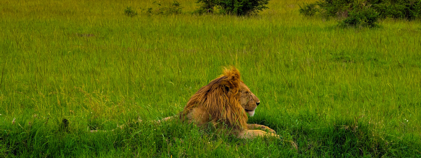 Realistic Travel Expectations vs Reality